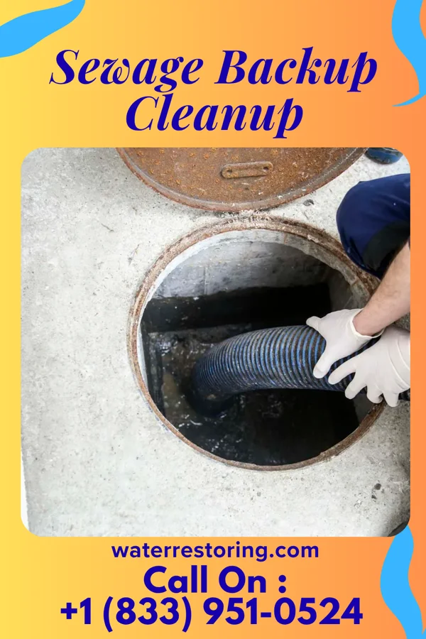 Sewage Backup Cleanup in Whitewater, KS